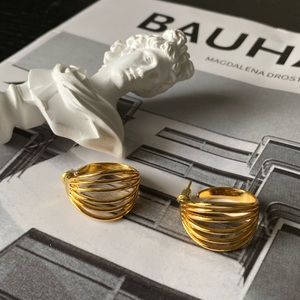 Brand new gold-plated earrings